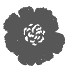 Buena Vista Journal – Buena Vista Journal